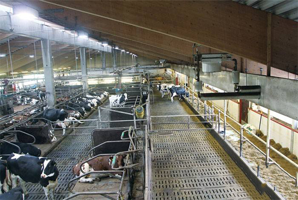 宁夏牛场污水处理方法